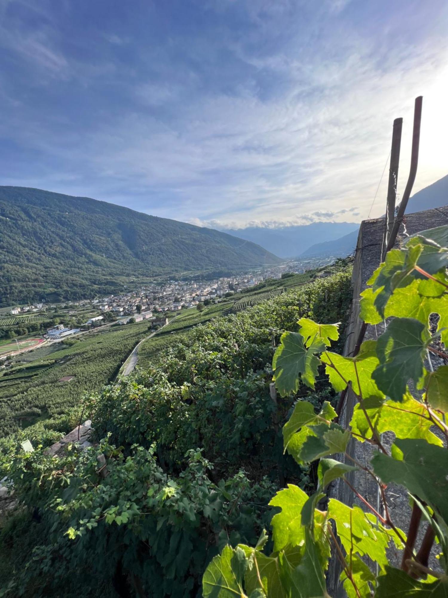 Sanmartino Suite Tirano Exterior photo